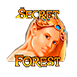 Secret Forest