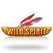 Wild Spirit