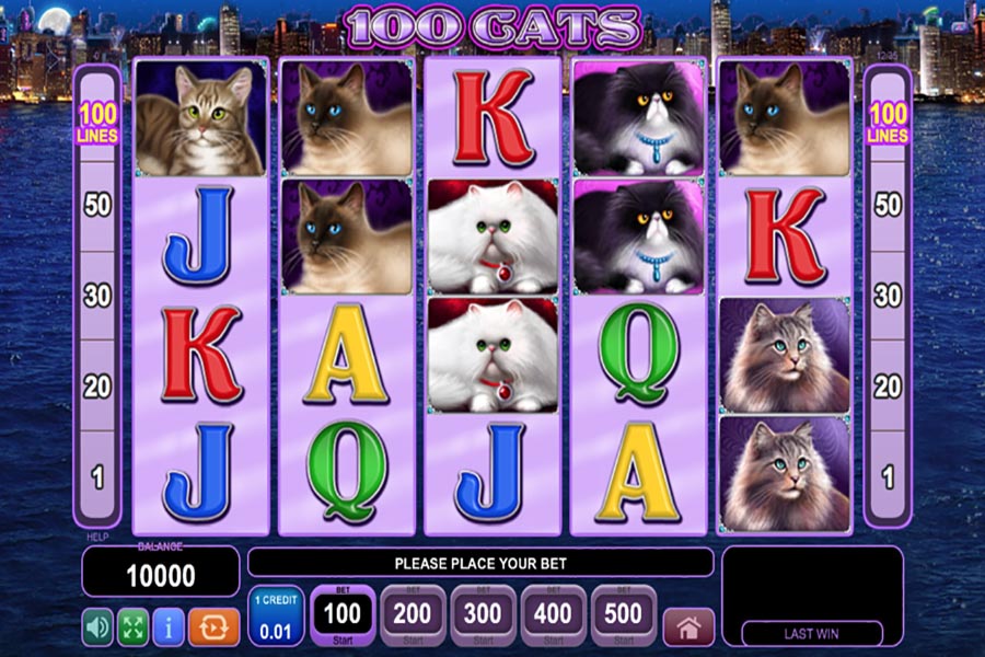 100_cats