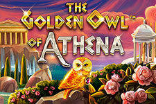 The Golden Owl of Athena