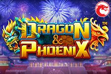 Dragon & Phoenix