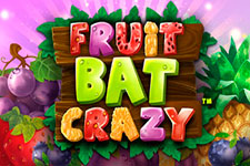 Fruit Bat Crazy